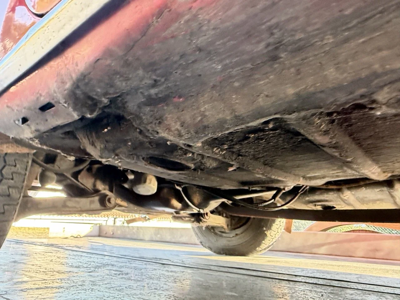 IMG_9079 – grande.jpeg