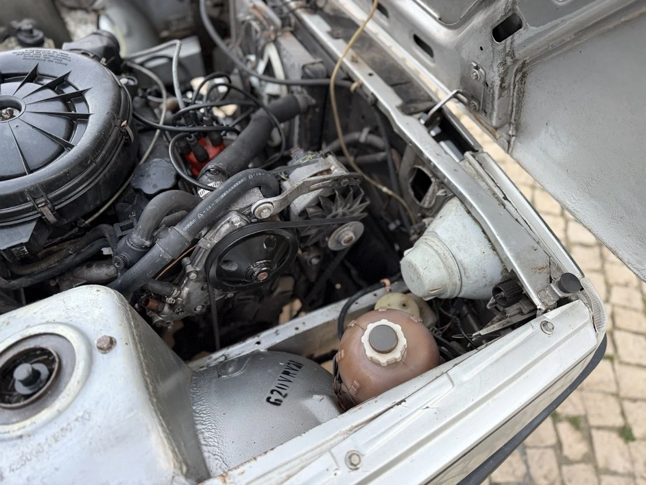 IMG_4737 3 – grande.jpeg