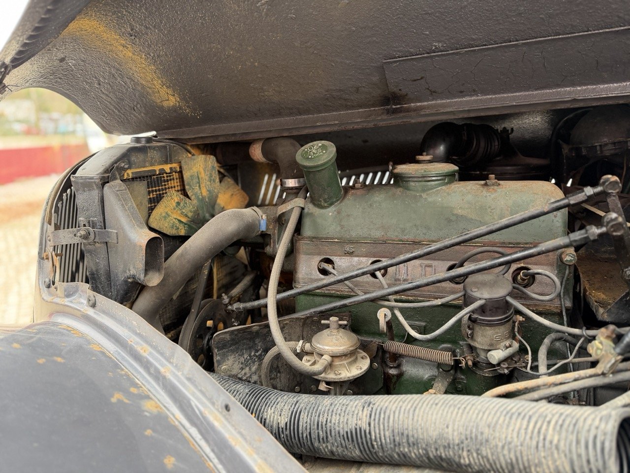 IMG_1856 – grande.jpeg