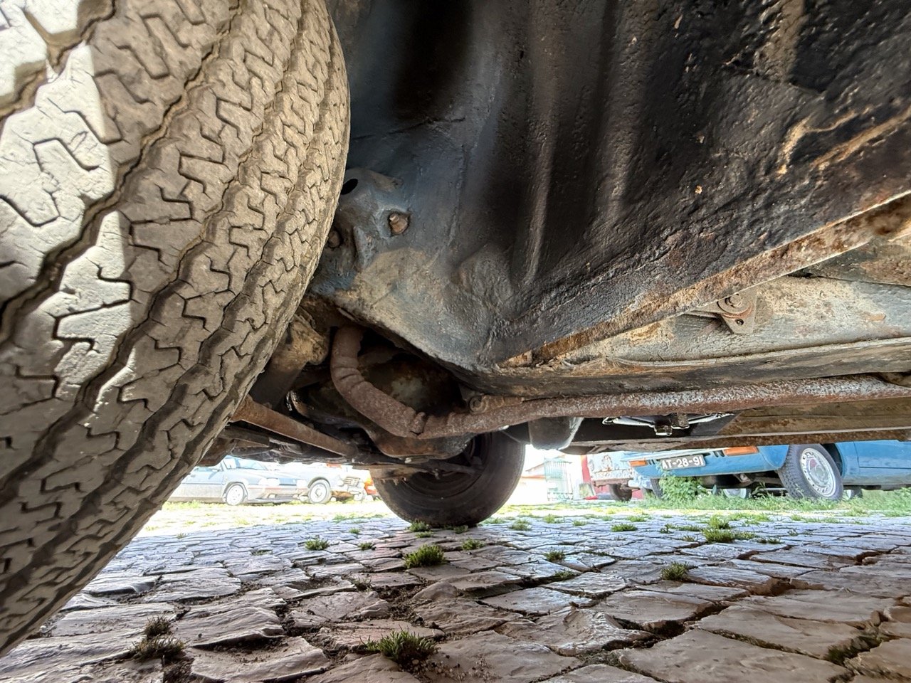 IMG_3573 – grande.jpeg