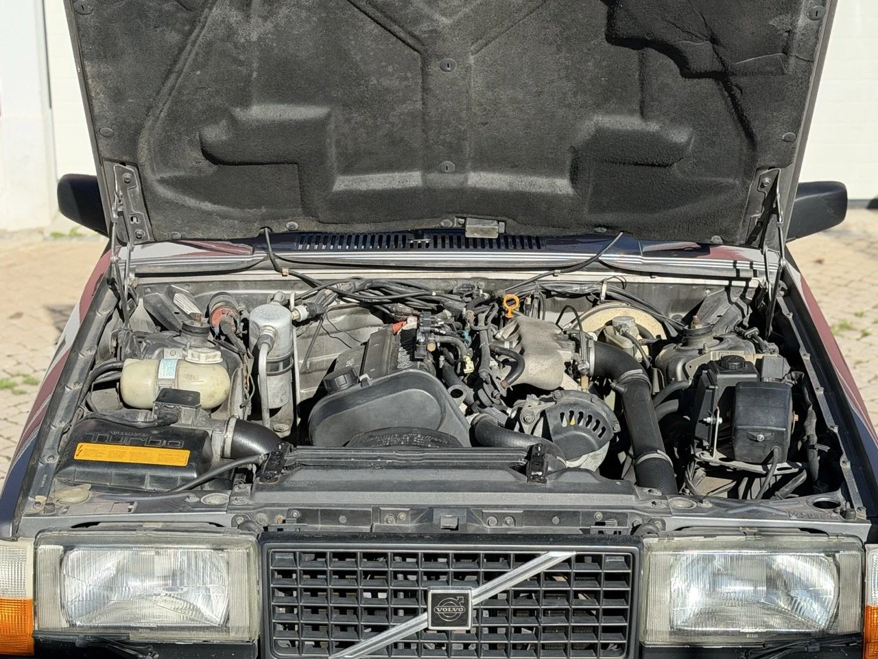 IMG_1971 – grande.jpeg