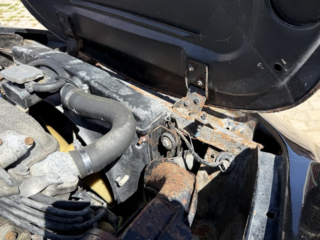 IMG_2223 – grande.jpeg