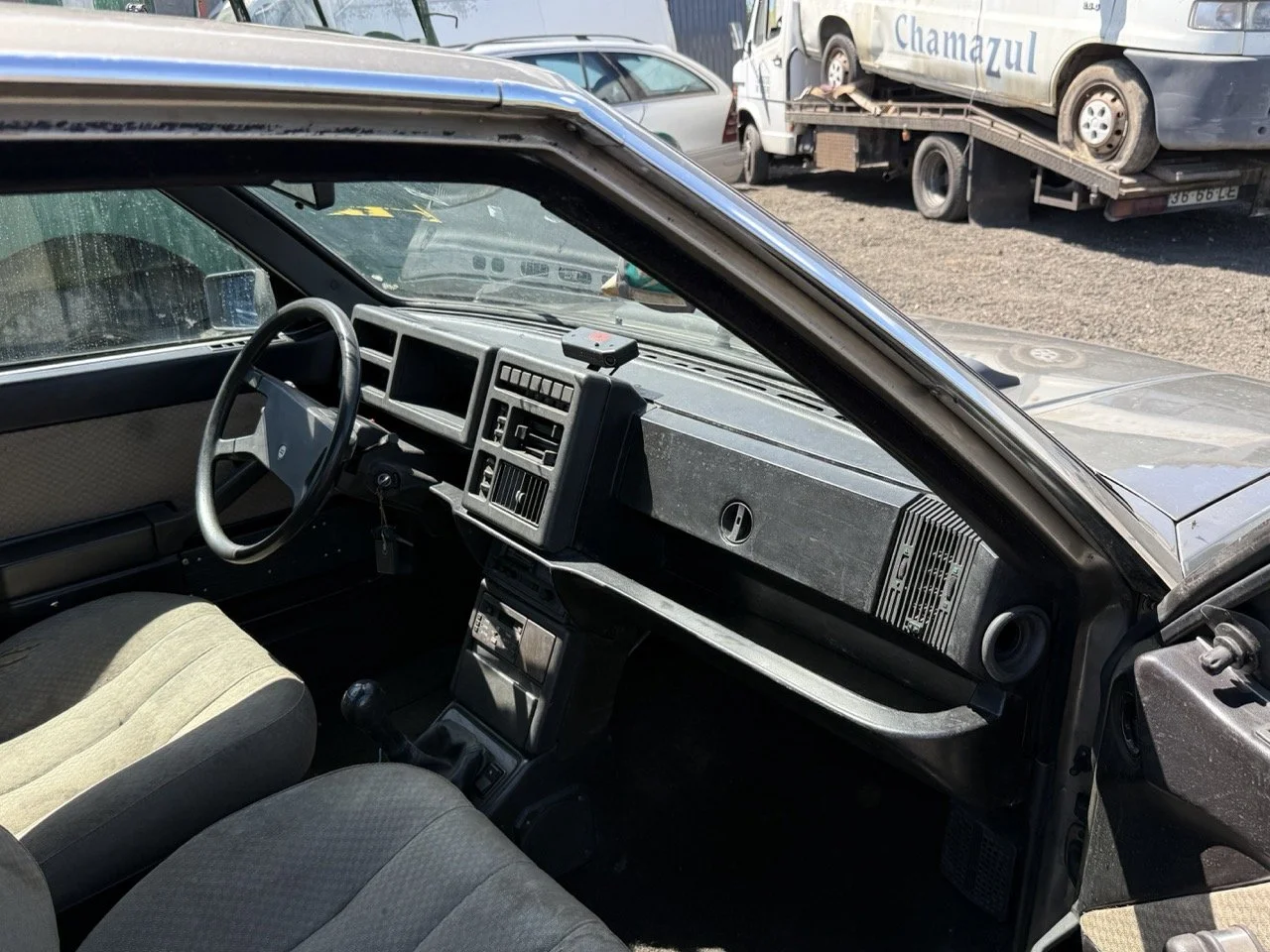 IMG_1943 – grande.jpeg