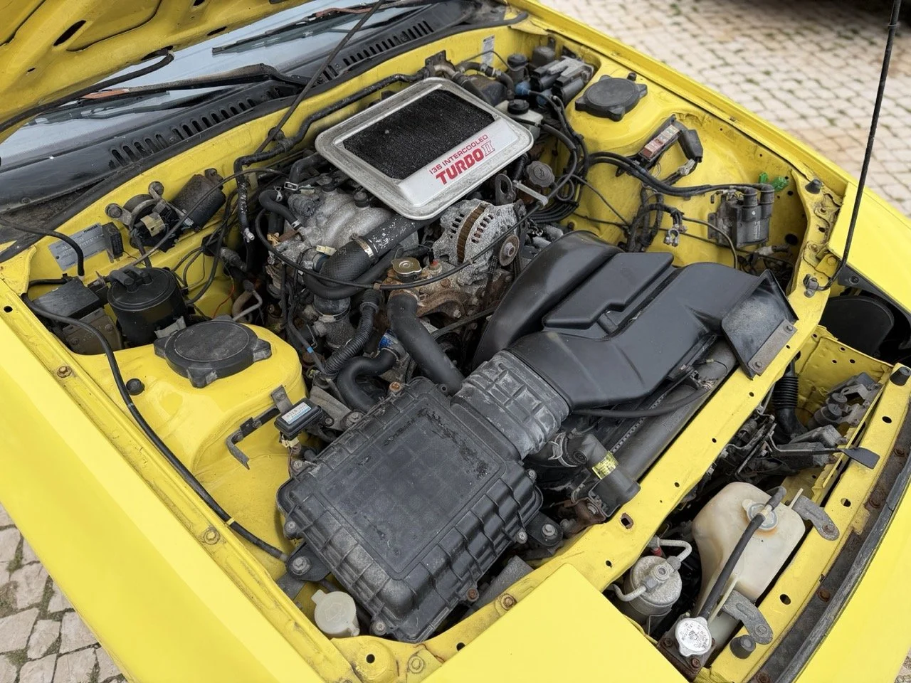 IMG_9745 – grande.jpeg