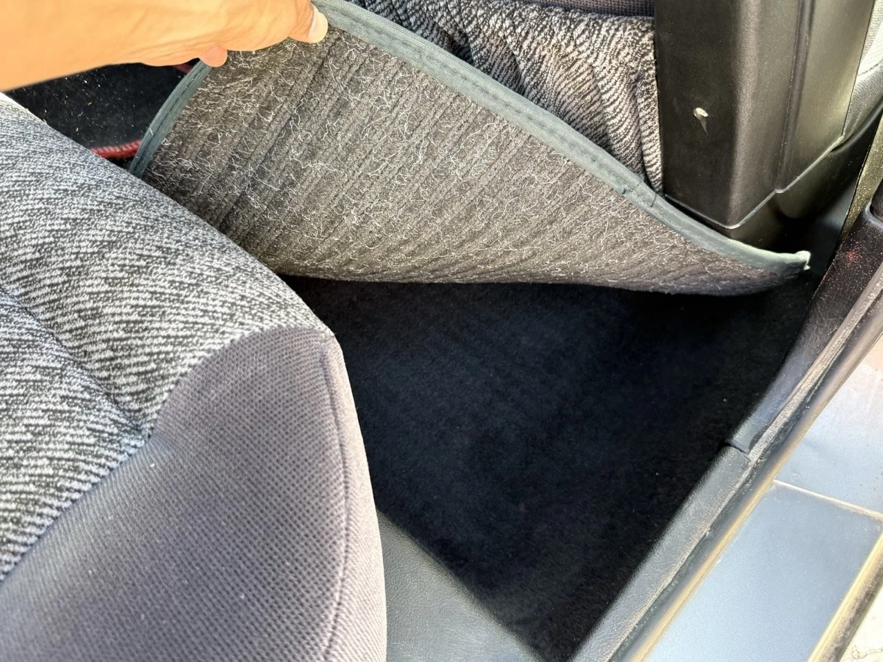 IMG_2607 – grande.jpeg