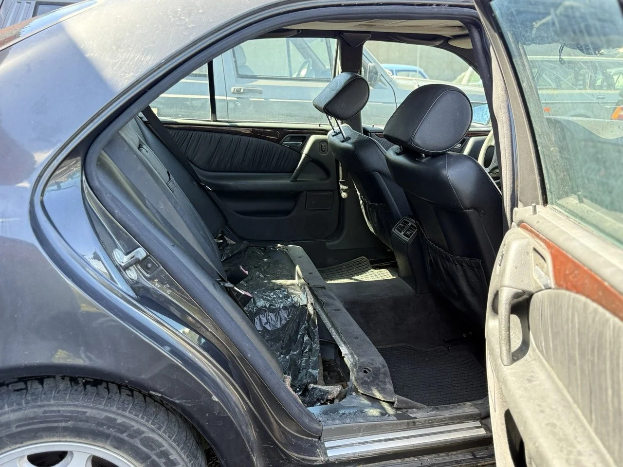 IMG_1736 – grande.jpeg