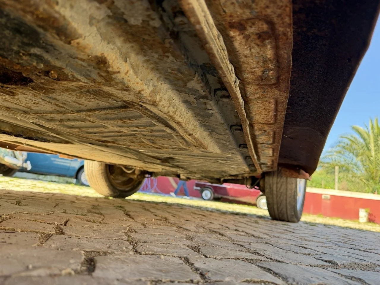 IMG_7599 – grande.jpeg