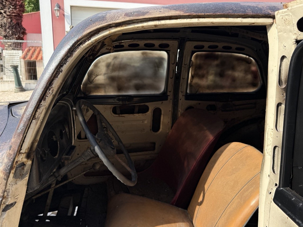 IMG_3732 – grande.jpeg