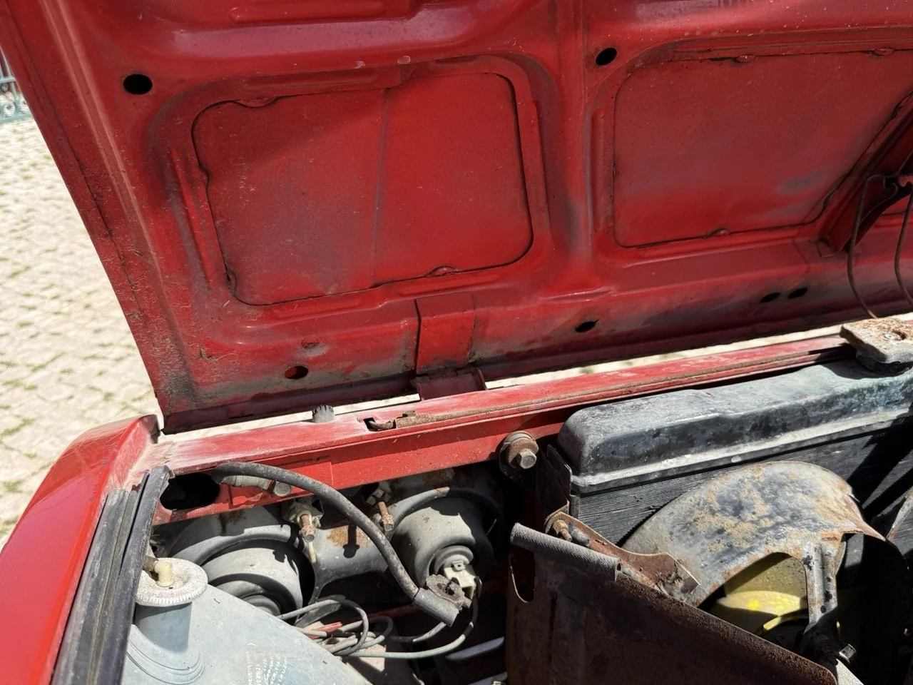 IMG_2301 – grande.jpeg