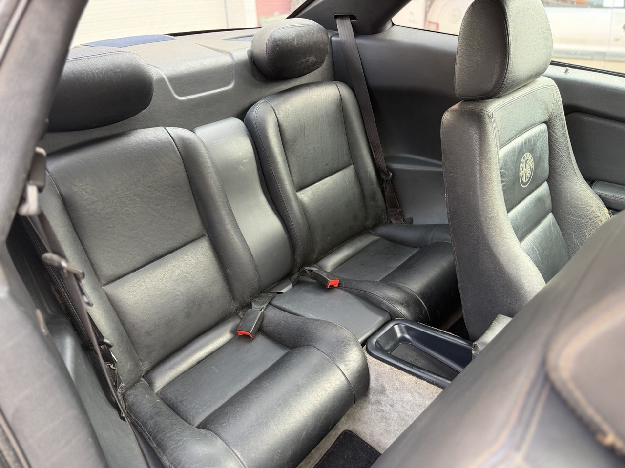 IMG_2259 – grande.jpeg