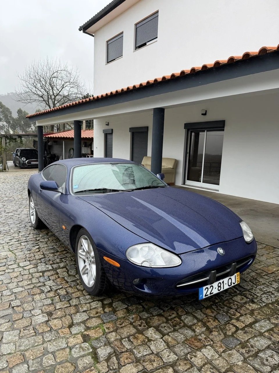 IMG_3630 – grande.jpeg