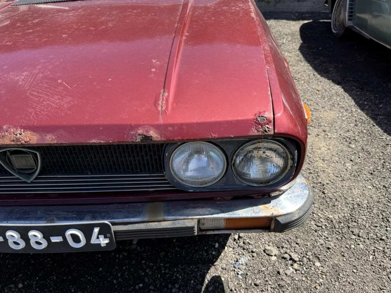 IMG_0958 – grande.jpeg