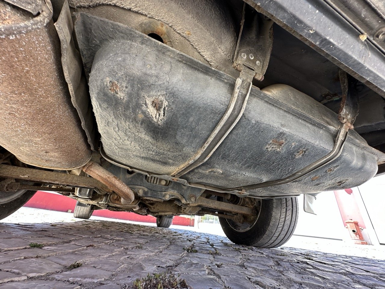 IMG_3132 – grande.jpeg