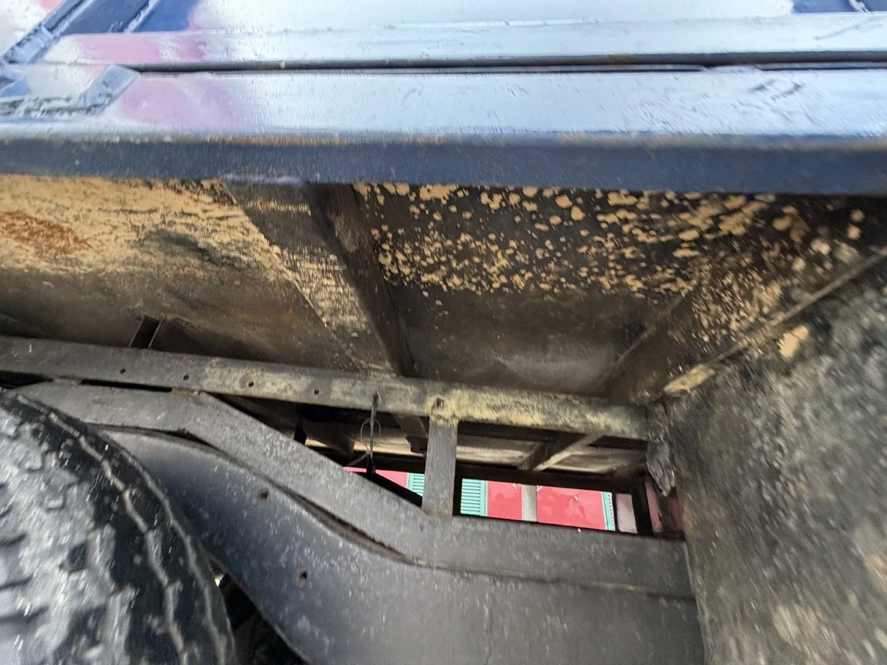 IMG_8159 – grande.jpeg