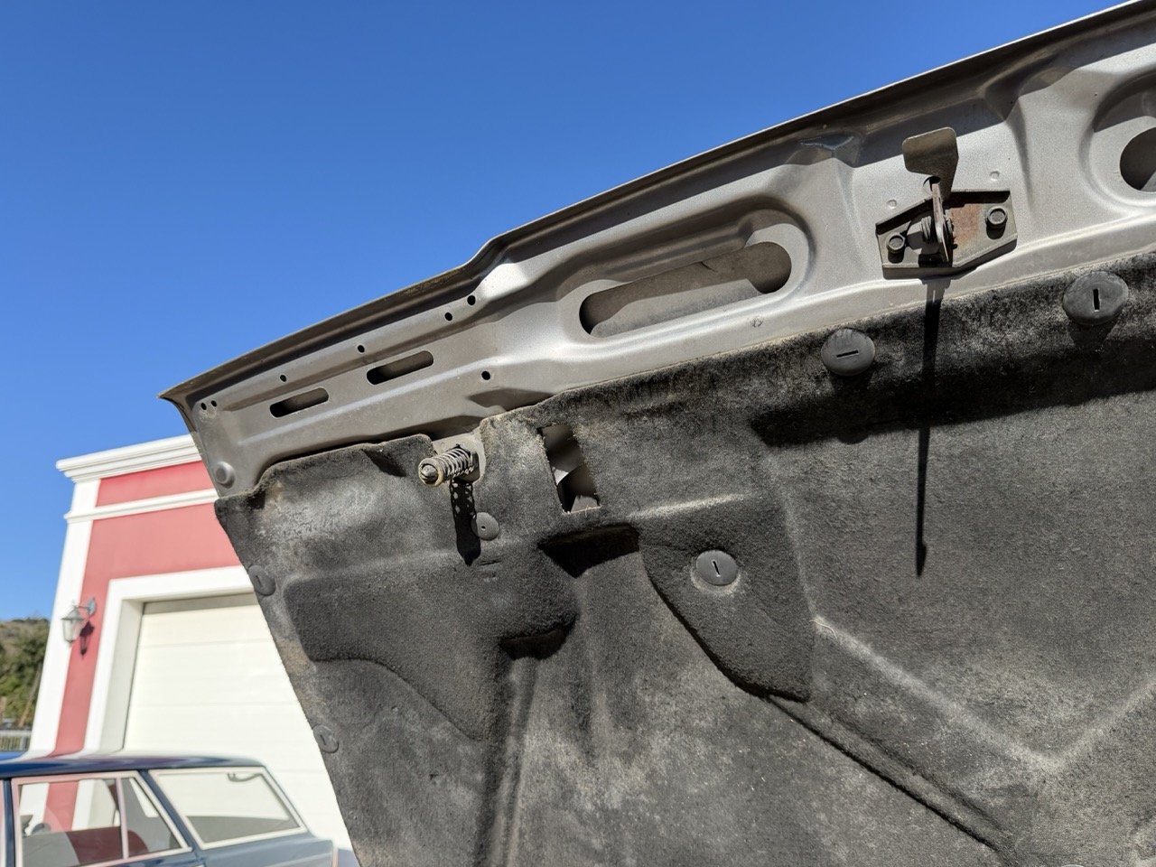 IMG_1995 – grande.jpeg