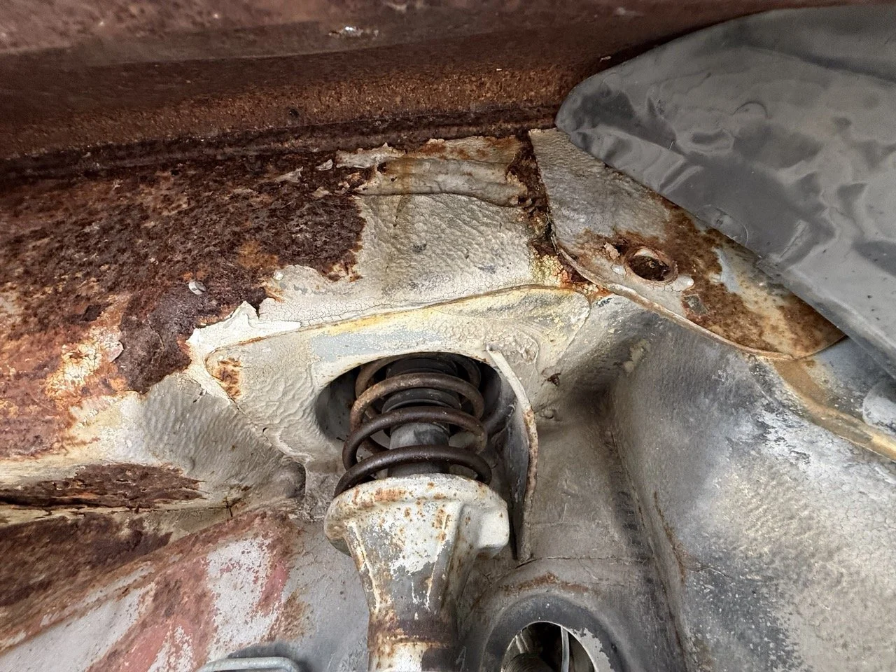 IMG_8651 – grande.jpeg