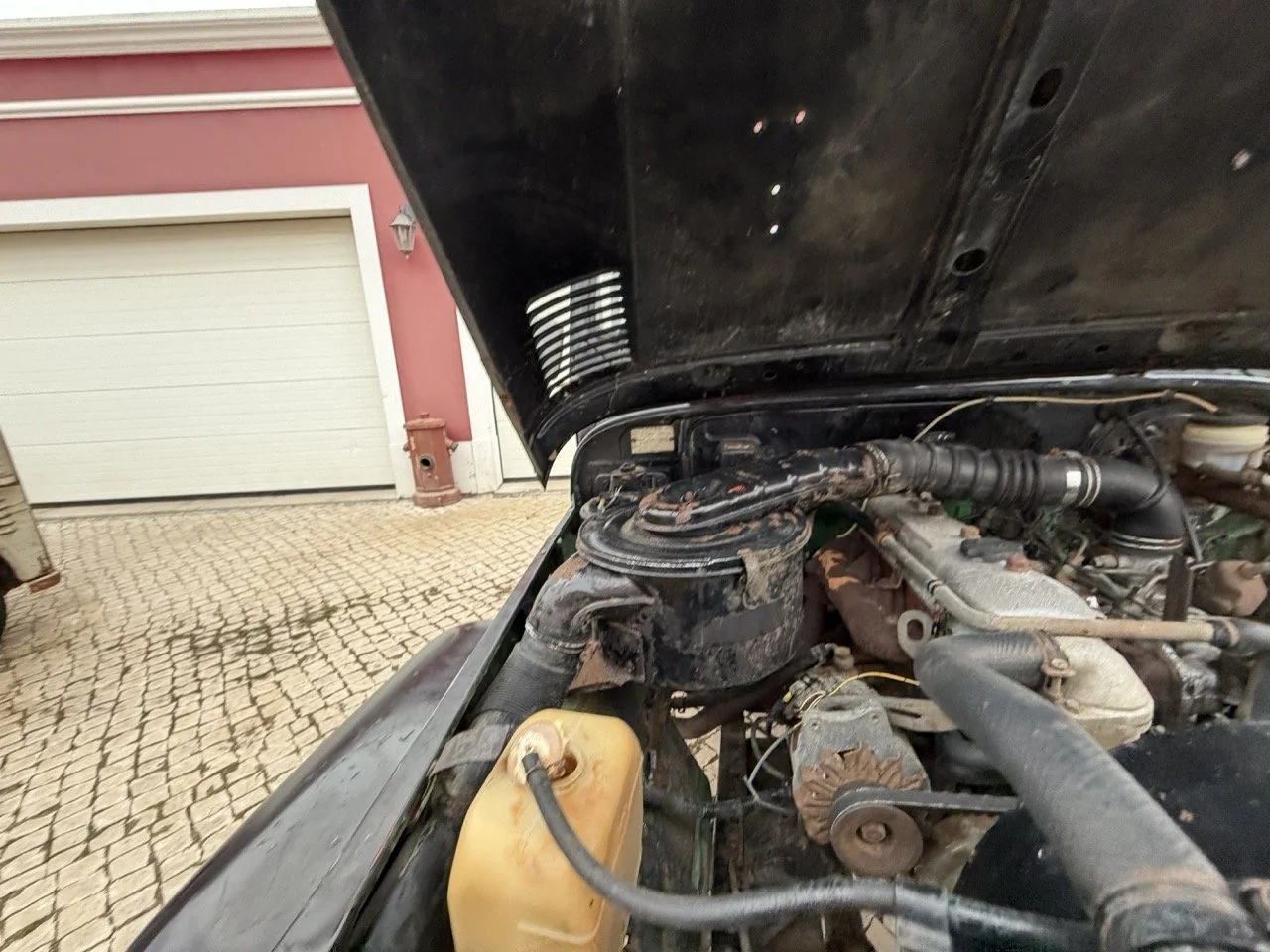 IMG_6483 – grande.jpeg