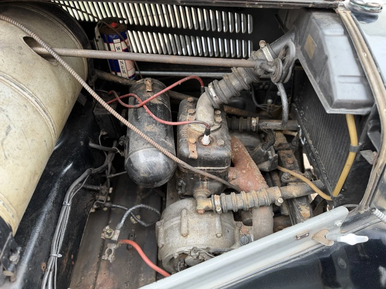 IMG_1438 – grande.jpeg