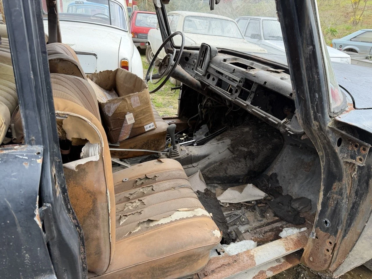 IMG_1923 – grande.jpeg