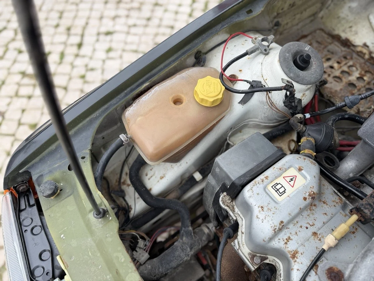 IMG_1348 – grande.jpeg