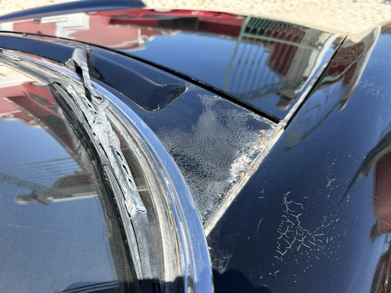 IMG_2198 – grande.jpeg