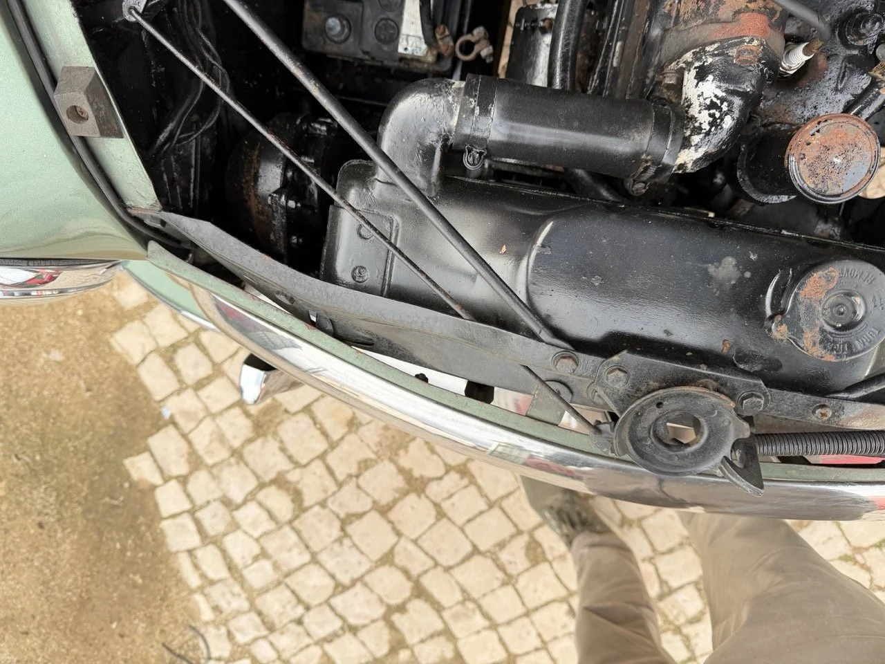 IMG_9843 – grande.jpeg