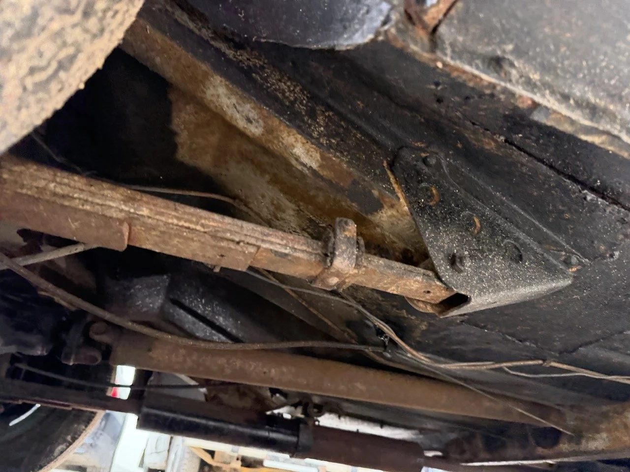 IMG_9895 – grande.jpeg