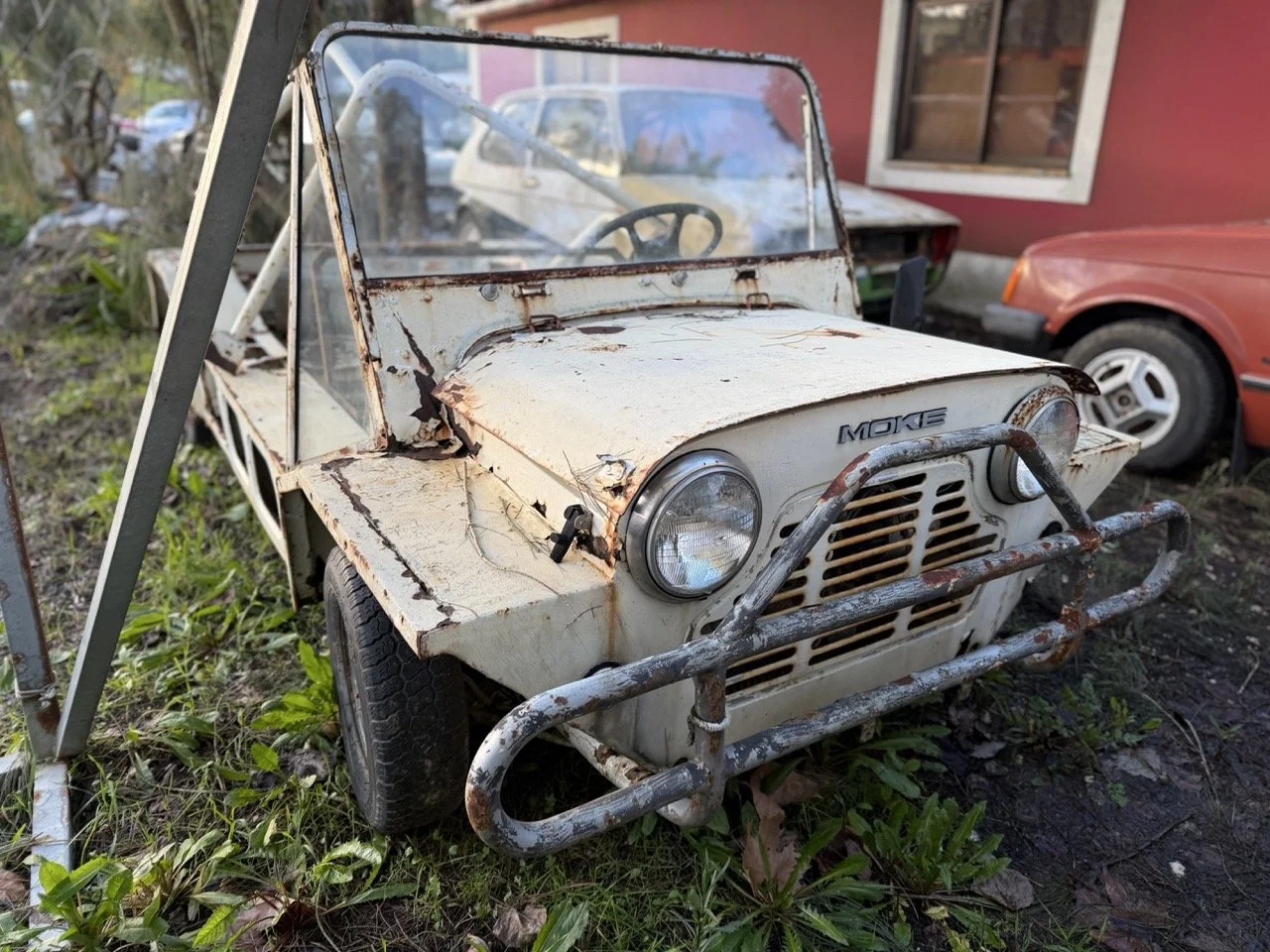 IMG_0874 – grande.jpeg