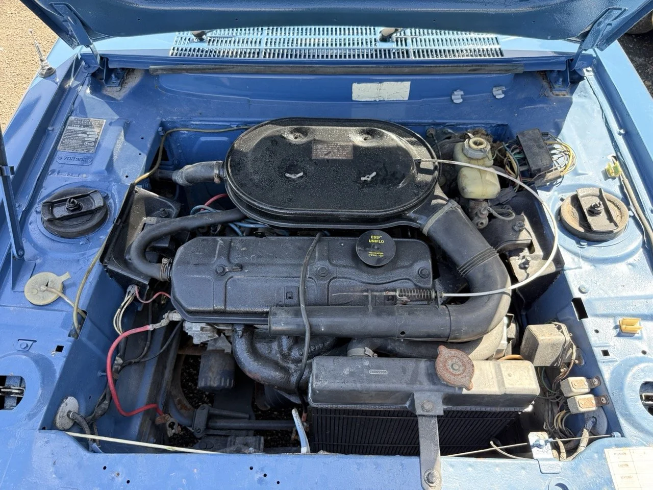 IMG_0786 – grande.jpeg