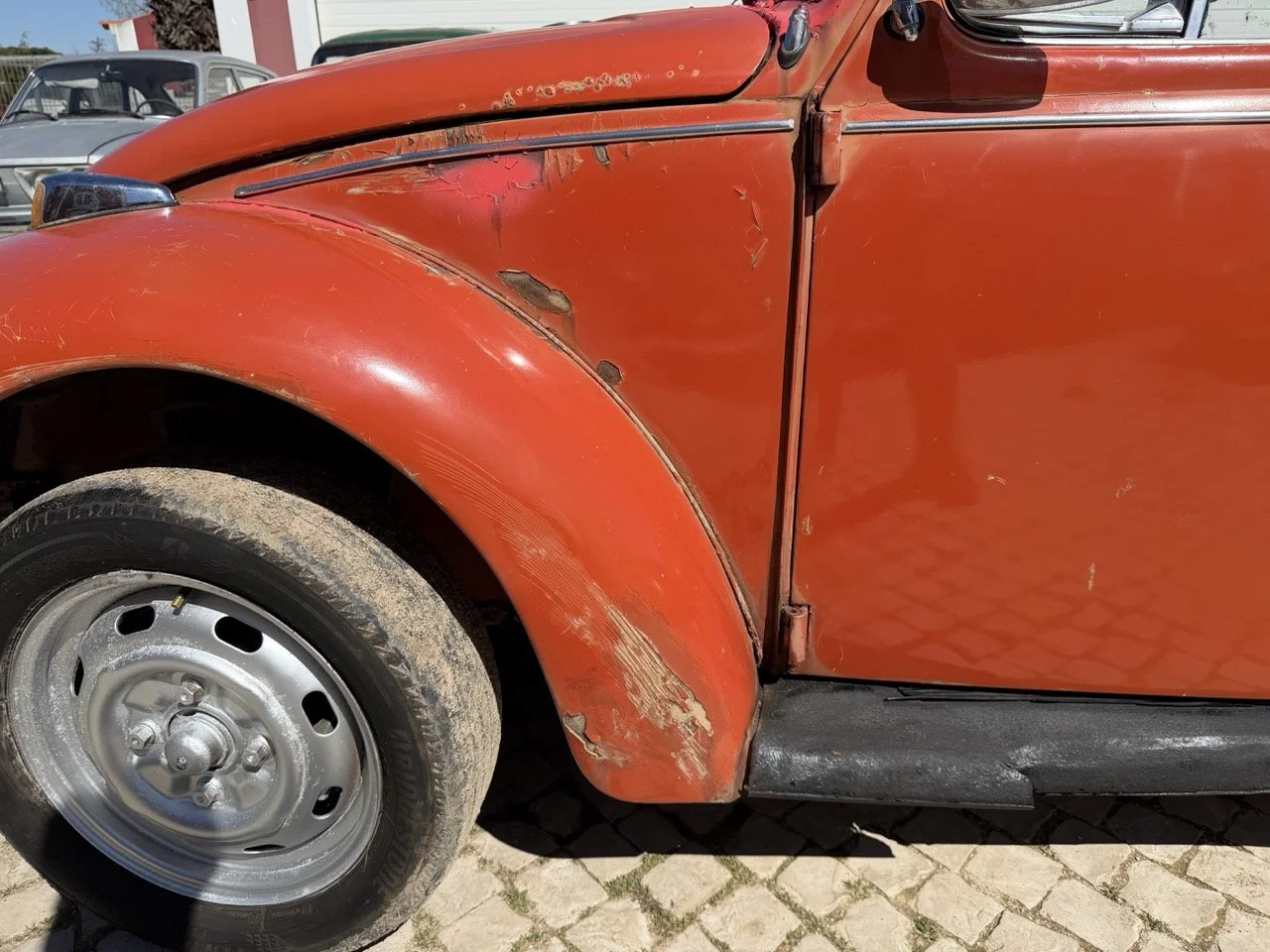 IMG_7575 – grande.jpeg