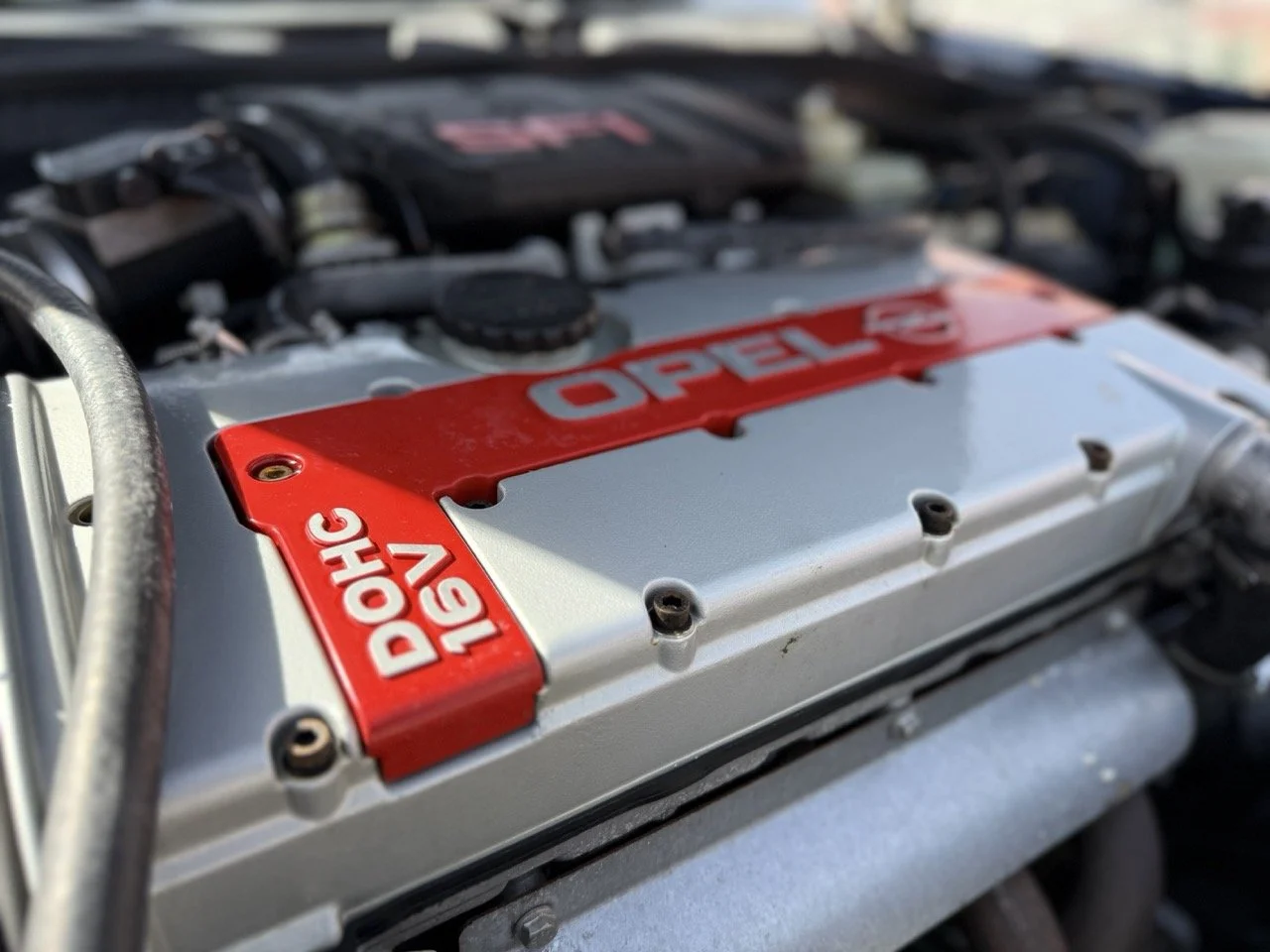 IMG_2415 – grande.jpeg