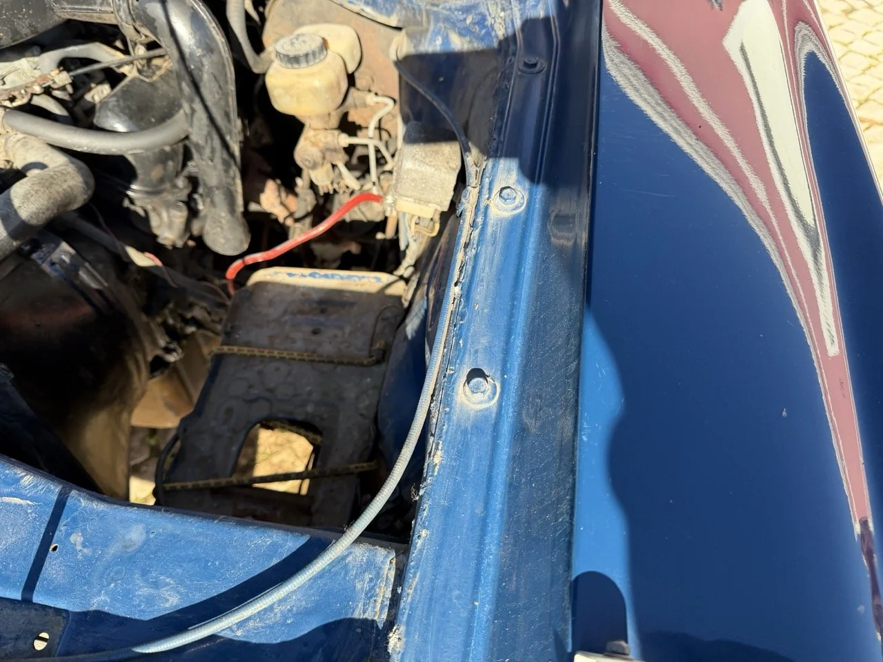 IMG_1849 – grande.jpeg