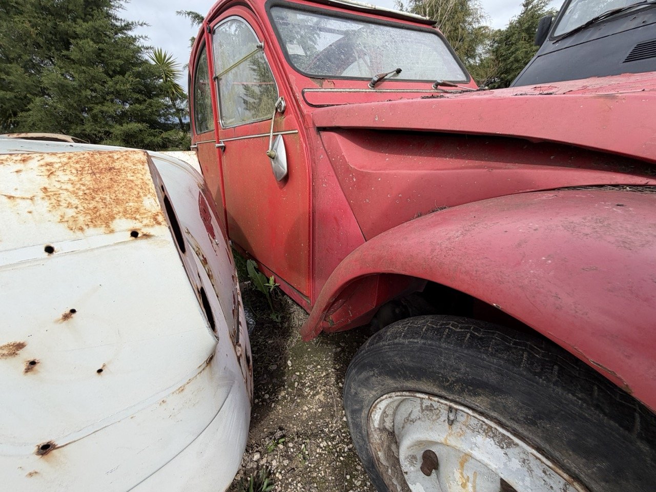 IMG_3882 – grande.jpeg