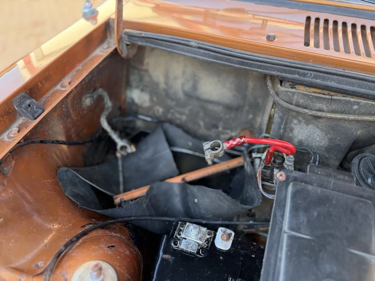 IMG_2401 – grande.jpeg