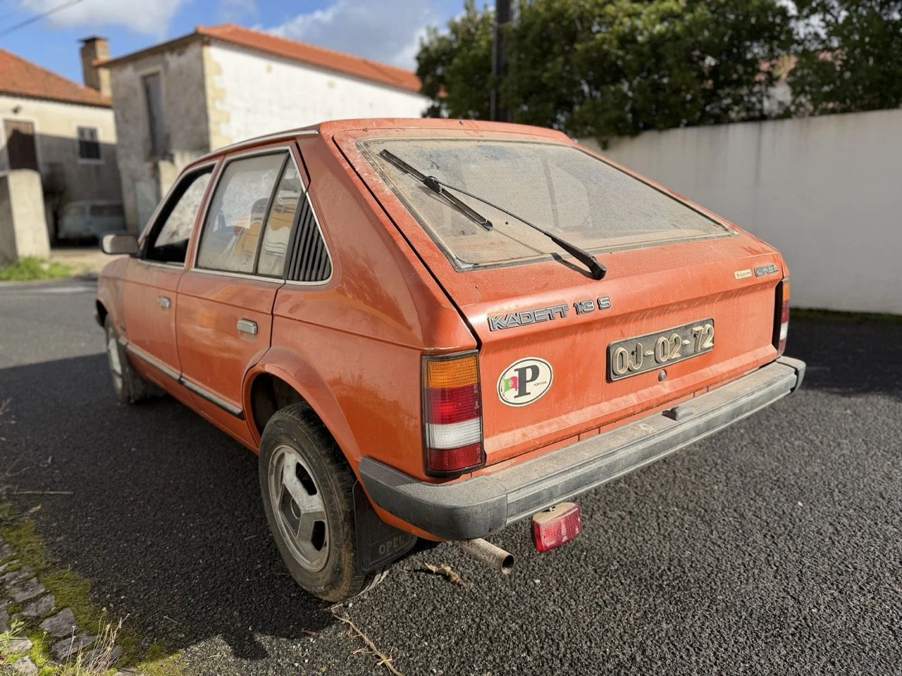 IMG_2928 – grande.jpeg