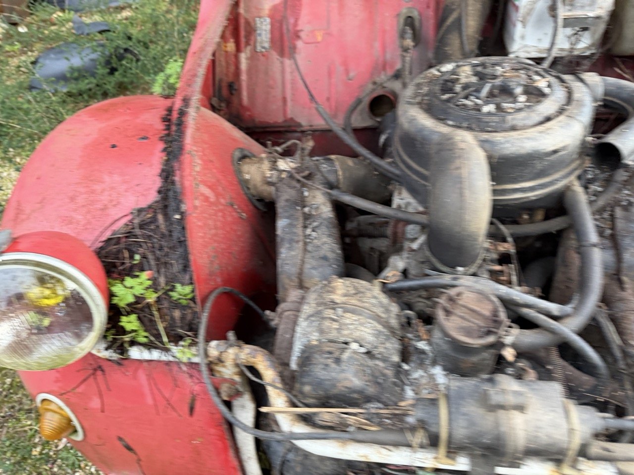 IMG_5524 – grande.jpeg