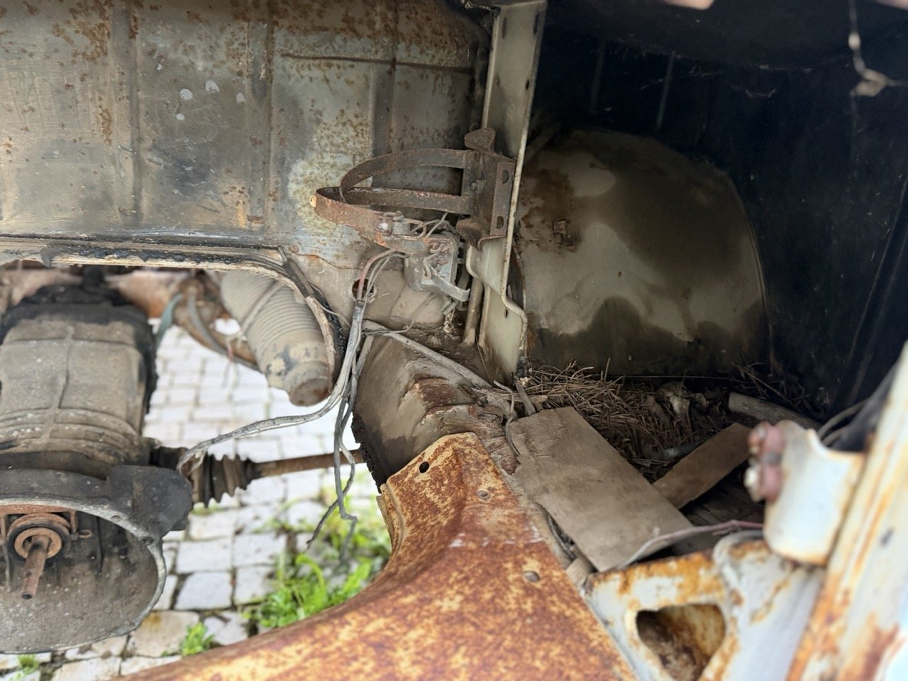 IMG_0787 – grande.jpeg