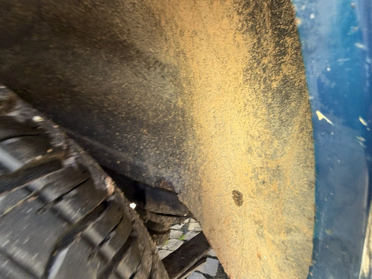 IMG_1899 – grande.jpeg