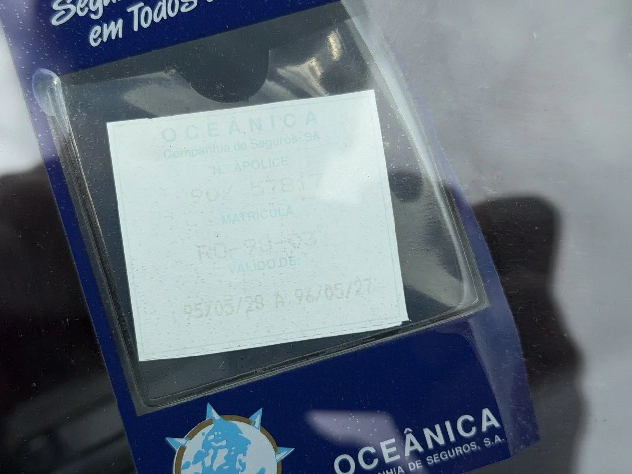 IMG_2378 – grande.jpeg