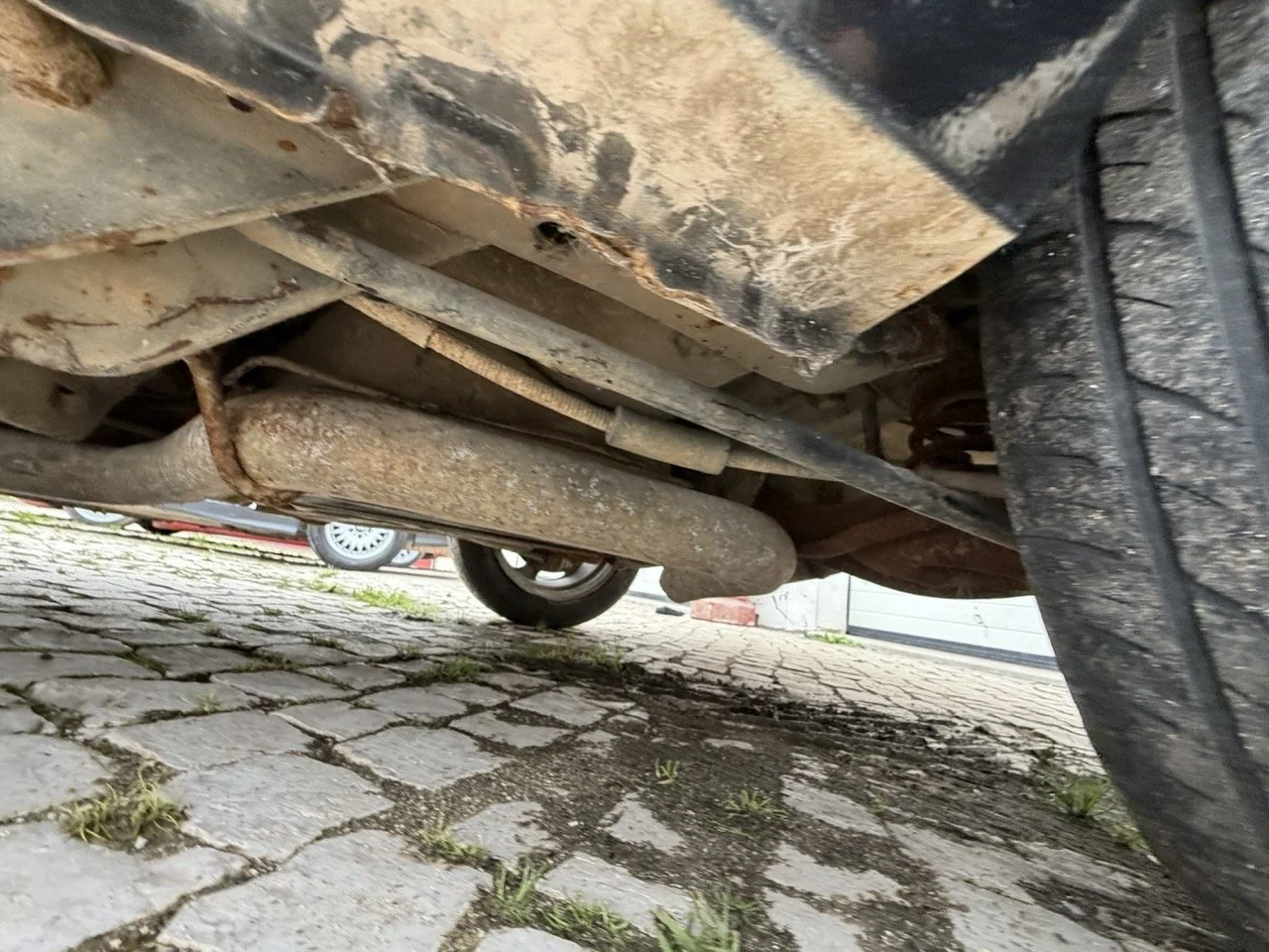 IMG_1332 – grande.jpeg