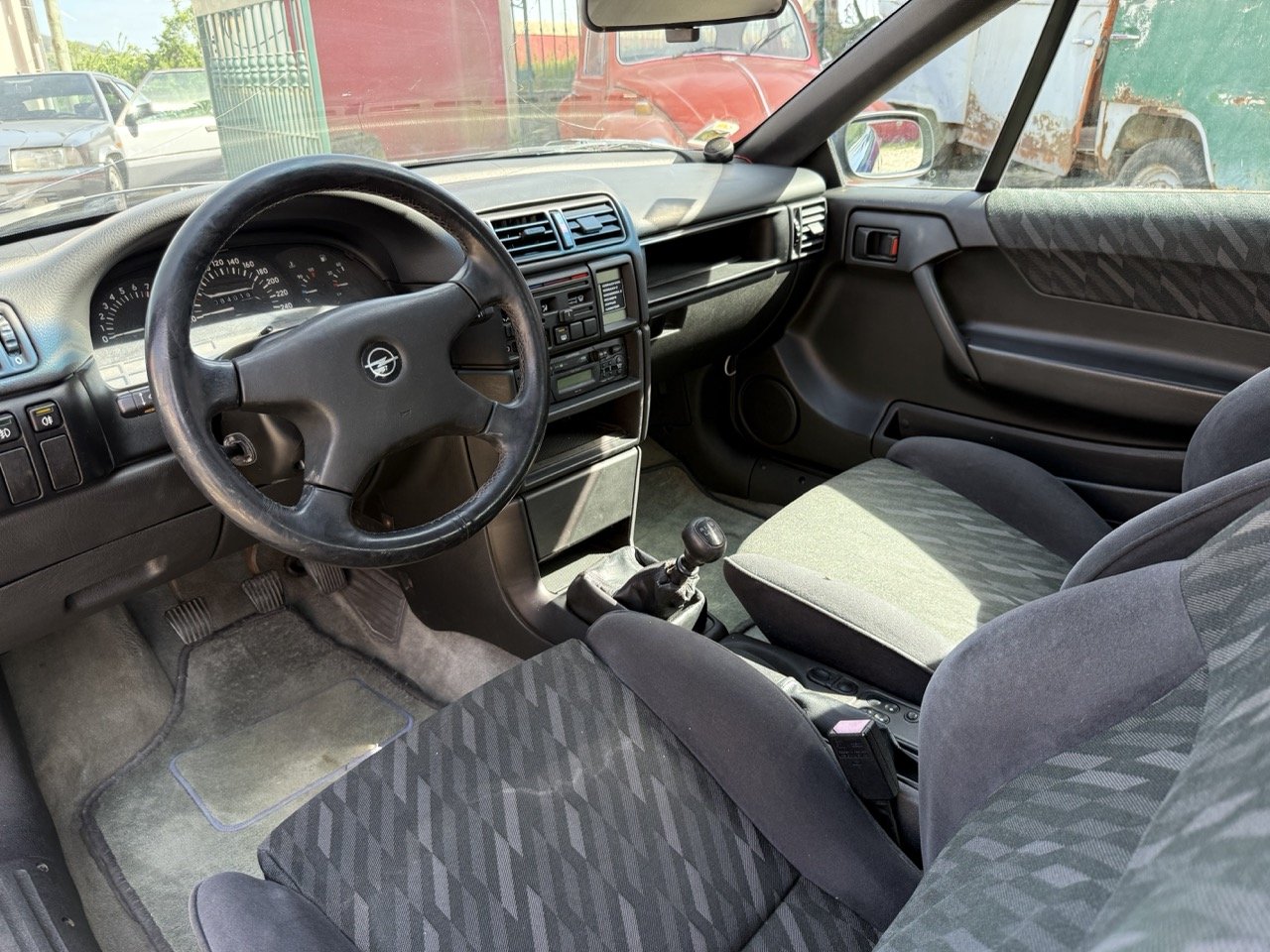 IMG_2394 – grande.jpeg