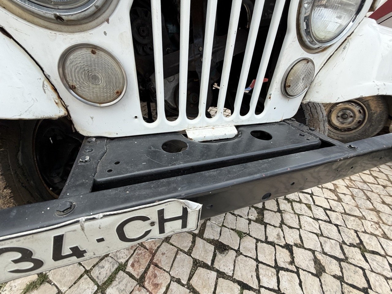 IMG_3934 – grande.jpeg