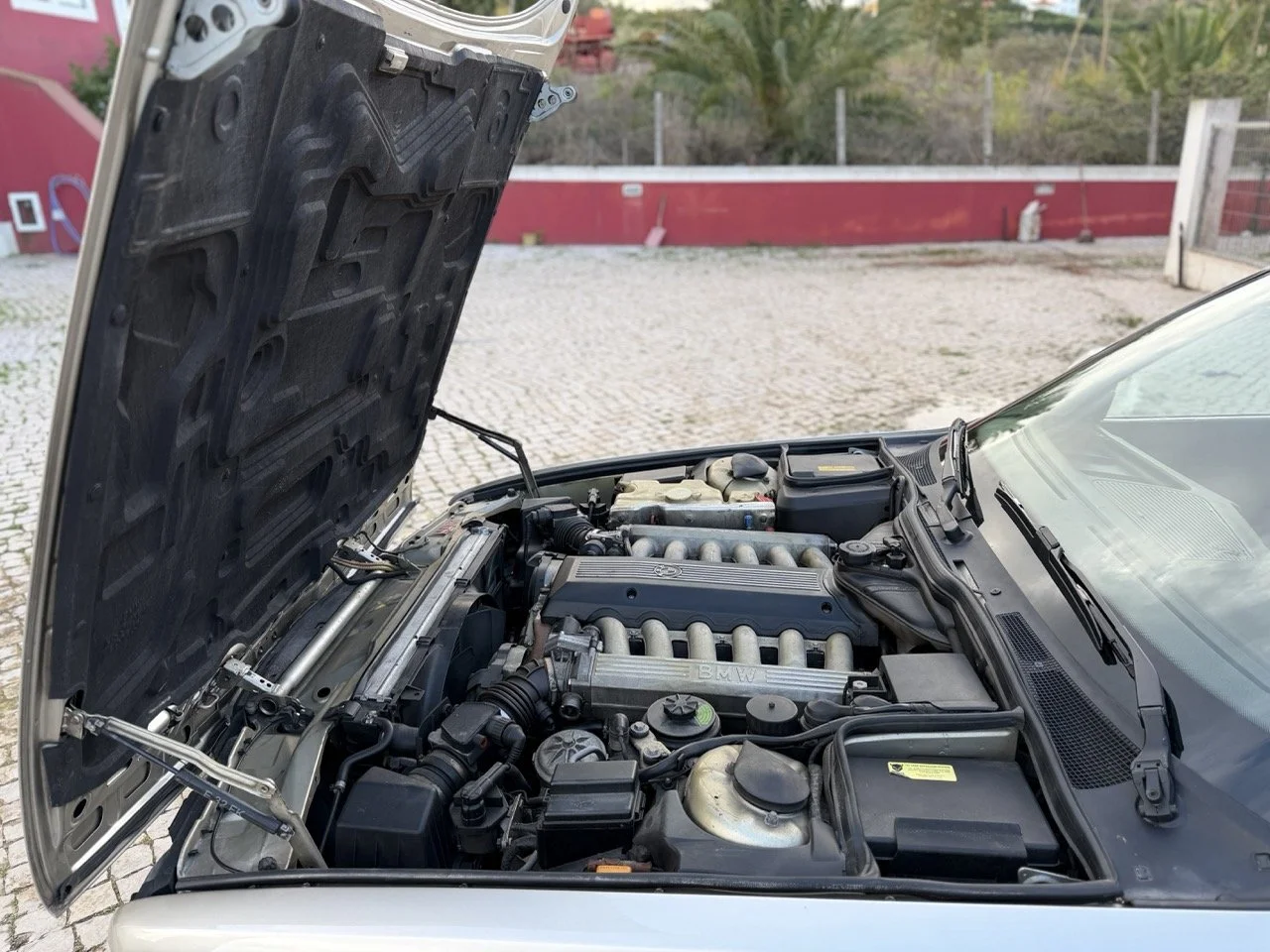 IMG_6964 2 – grande.jpeg