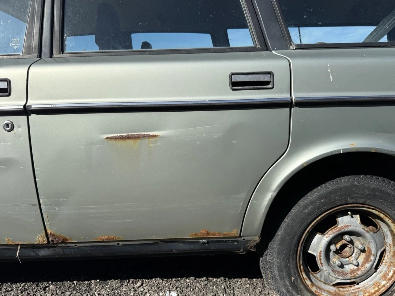 IMG_1180 – grande.jpeg