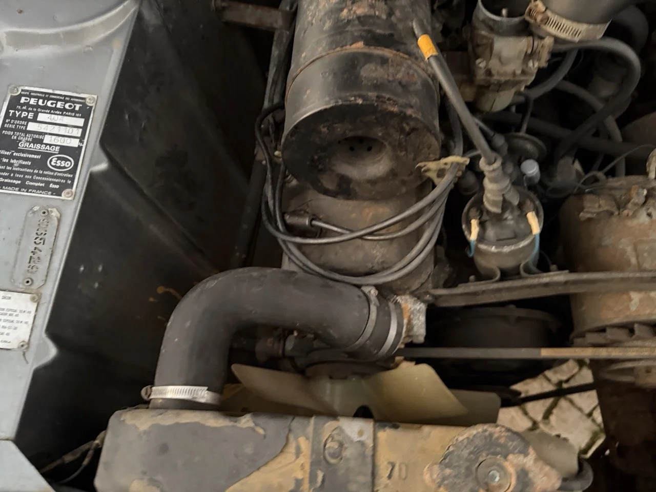 IMG_7521 – grande.jpeg