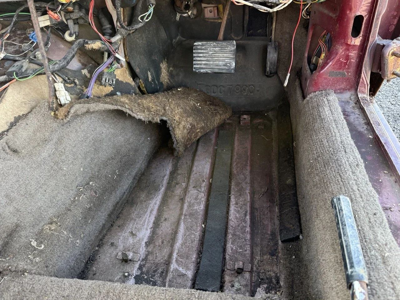 IMG_2987 – grande.jpeg