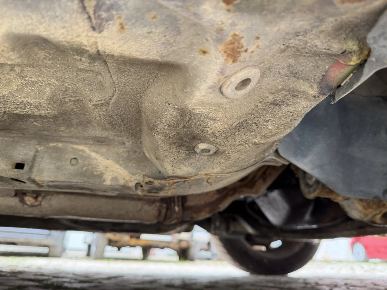 IMG_9805 – grande.jpeg