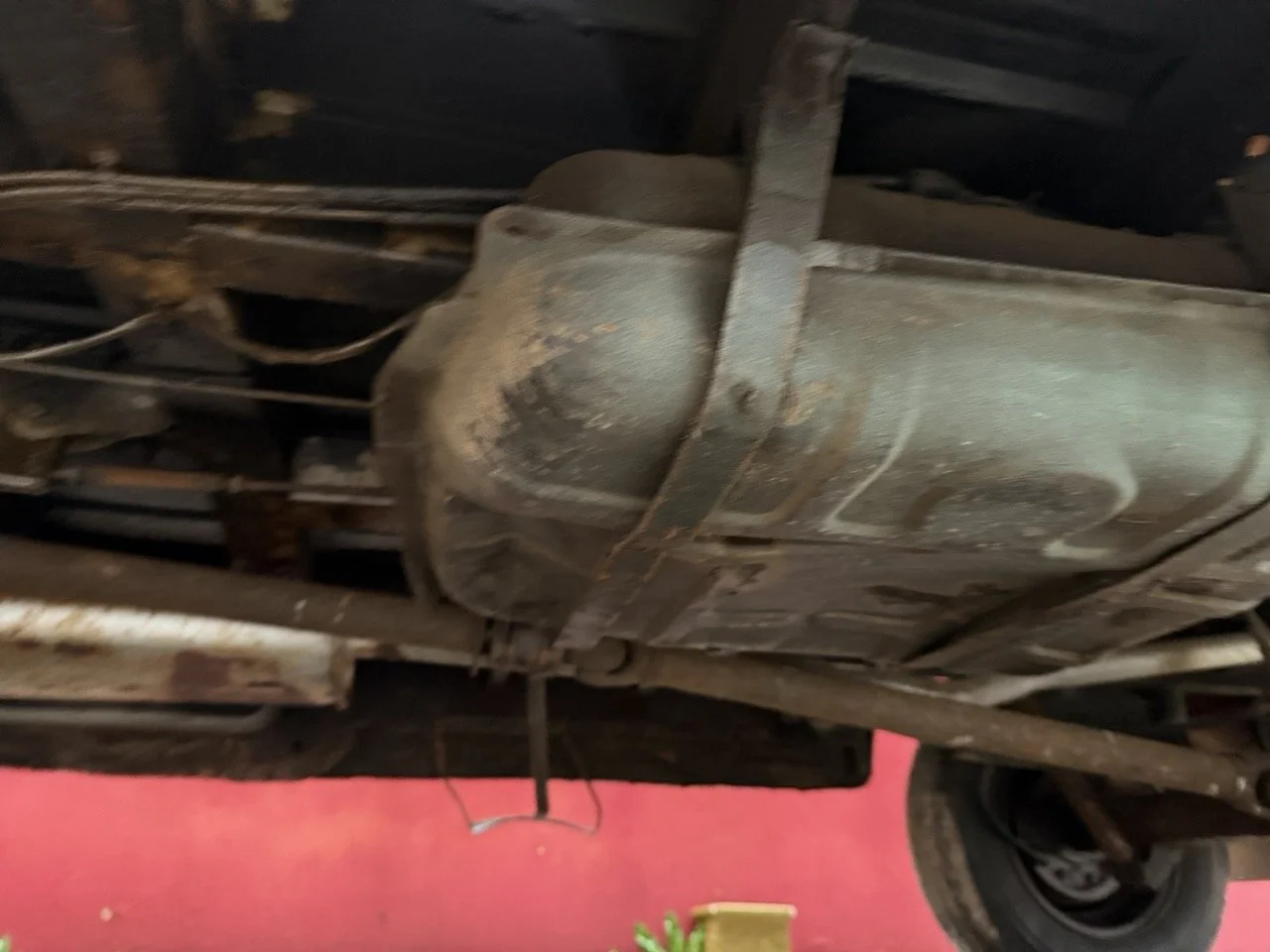 IMG_9979 – grande.jpeg