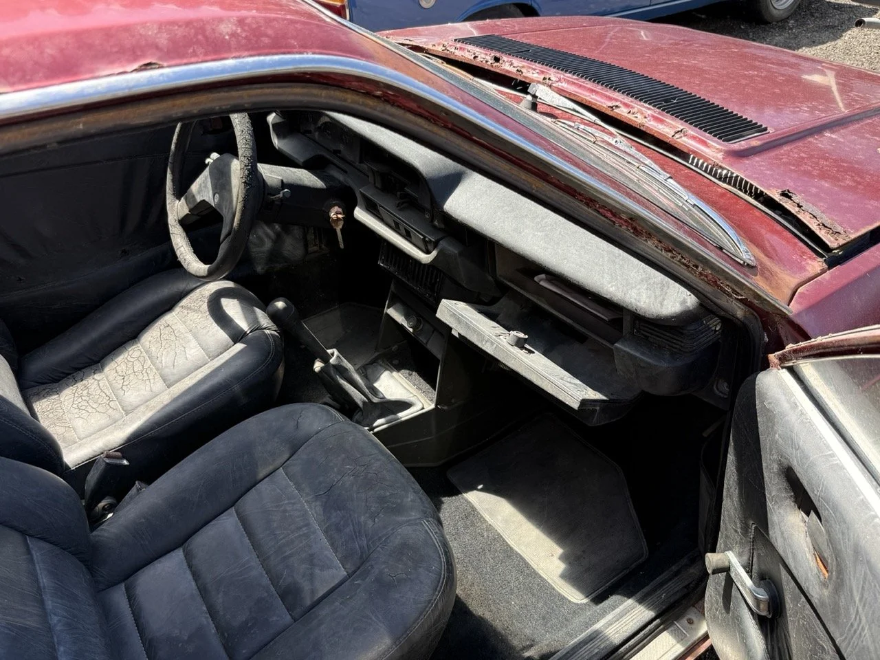 IMG_0942 – grande.jpeg