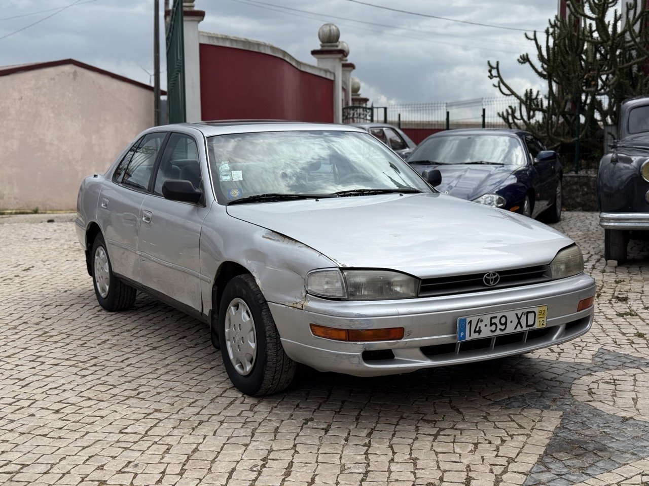 IMG_6657 – grande.jpeg